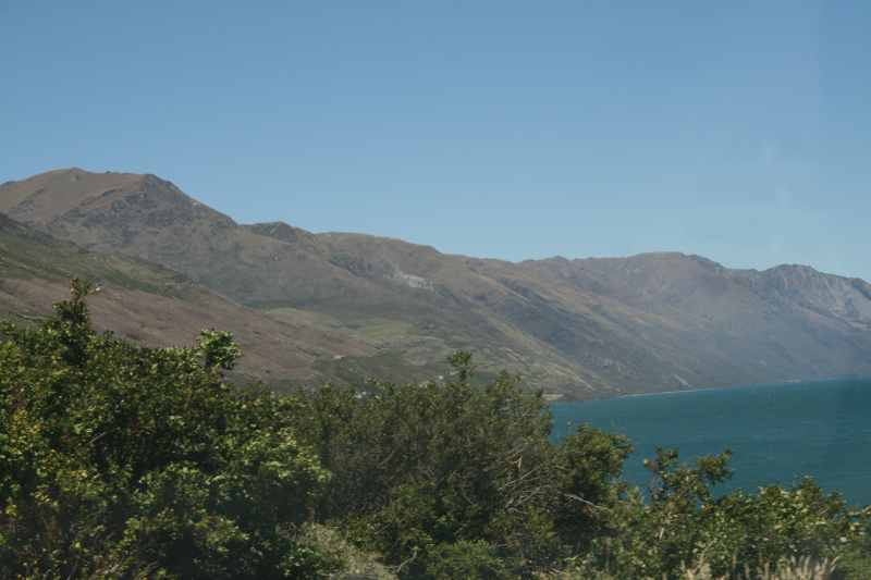 Nieuw-Zeeland 2011 - 1587